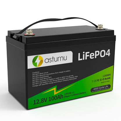 12V 100Ah LiFePO4 Lithium Battery